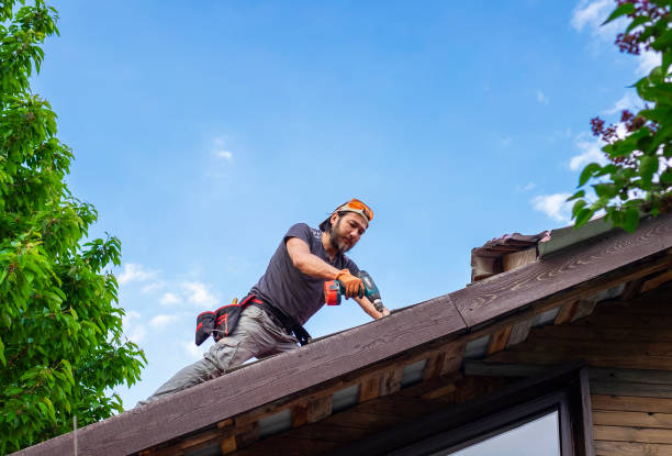 Sheet Metal Roofing in Elk Point, SD