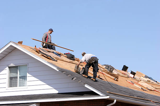 Best Skylight Installation and Repair  in Elk Point, SD